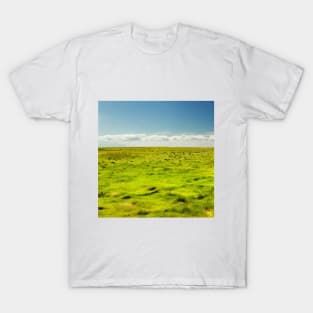 SCENERY 22 - Outdoor Grass Field Park Pathway T-Shirt